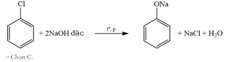 C6H5Cl khi tác dụng với NaOH thu được muối sodium phenolate: