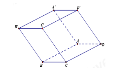 Cho hình lăng trụ…