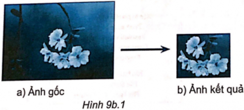 Quan sát Hình 9b.1 và cho biết ảnh đã được xử lí bằng cách nào?