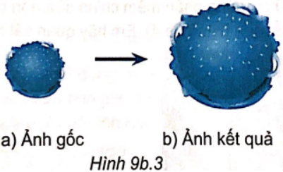 9b.4. Quan sát Hình 9b.3 và cho biết ảnh kết quả thu được sau khi sử dụng công cụ nào?