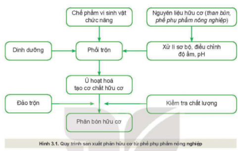 Quan sát Hình 3.1. và mô tả quy trình sản xuất phân hữu cơ từ phế phụ phẩm nông nghiệp.