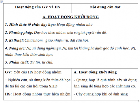 Giáo án VNEN bài Quang hợp ở cây xanh (T1)