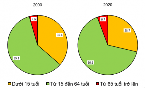 Dựa vào bảng 15.2, vẽ biểu đồ thể hiện cơ cấu dân số theo tuổi của khu vực Tây Nam Á năm 2000 và 2020. Nêu nhận xét.
