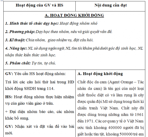 Giáo án VNEN bài: Đột biến gen (T2)