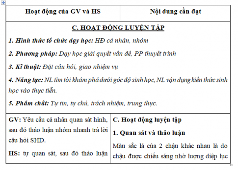 Giáo án VNEN bài Quang hợp ở cây xanh (T2)