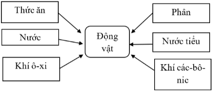 Hoàn thành sơ đồ tổng hợp về sự trao đổi khí, nước, thức ăn ở động vật dưới đây.