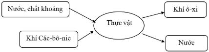 Câu 2: Hoàn thành sơ đồ quá trình quang hợp ở thực vật dưới đây.