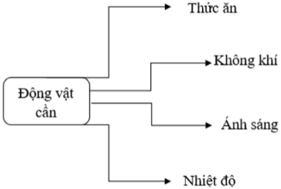 Câu 3: Hoàn thành sơ đồ “Các yếu tố cần cho động vật sống và phát triển”.