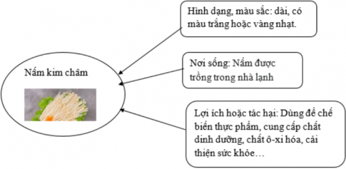 Câu 1: Hoàn thành “Bộ sưu tập nấm” đã học theo sơ đồ dưới đây.