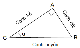 Giải phát triển năng lực toán 9 bài 2: Tỉ số lượng giác của góc nhọn