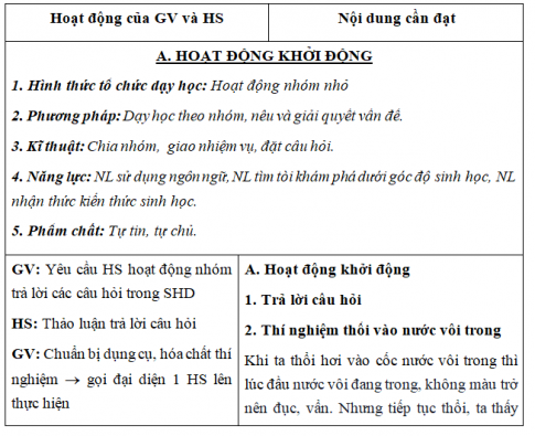 Giáo án VNEN bài Hô hấp ở cây xanh (T1)