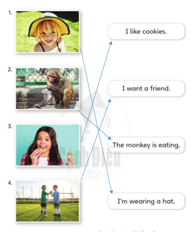 [Cánh Diều] Explore English Unit 1-4 Review