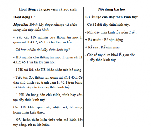 Giáo án PTNL bài 45: Dây thần kinh tủy