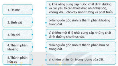 [KNTT] Giải SBT lịch sử và địa lí 6 bài: Lớp đất trên Trái Đất