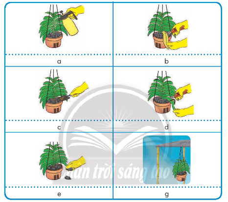 Em hãy đọc các thông tin trong bảng, quan sát các hình dưới đây và chọn hình minh họa phù hợp với mô tả