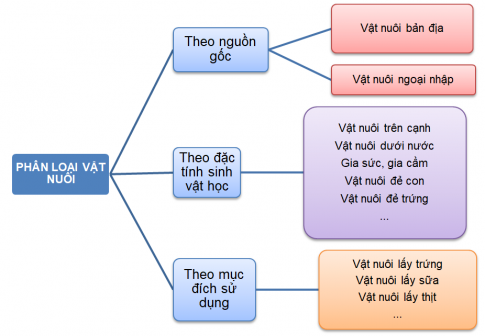 Hãy thể hiện việc phân loại vật nuôi (theo nguồn gốc, đặc tính sinh vật học và mục đích sử dụng) dưới dạng một sơ đồ tư duy