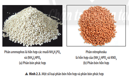 Từ các hợp chất có trong các loại phân bón hình 2.3 cho biết các loại phân bón này cung cấp nguyên tố dinh dưỡng nào cho cây trồng 