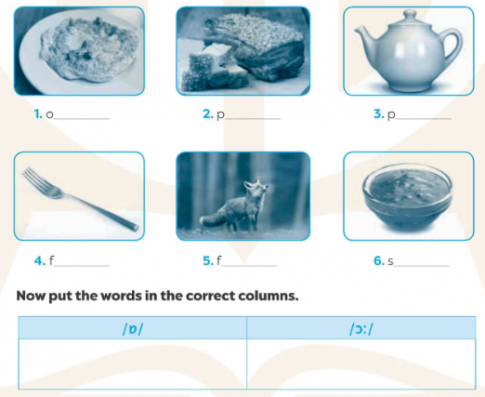 Give the names of the following pictures. Then read the words aloud. (The first letter of each word is given.). (Điền tên vào các hình sau. Sau đó đọc to các từ. (Chữ cái đầu tiên của mỗi từ được cho sẵn.)