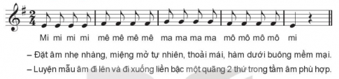 Khởi động giọng