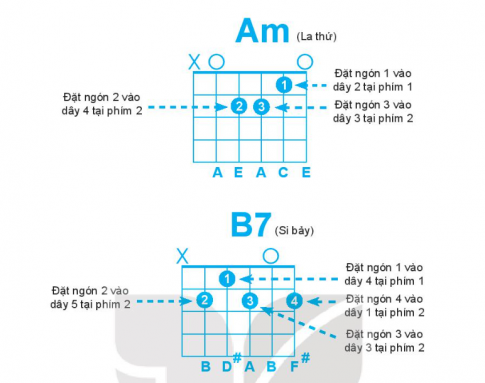 2. Thực hành đệm tiết điệu Fox