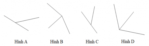 Trong các hình dưới đây hình nào vẽ hai góc kề bù