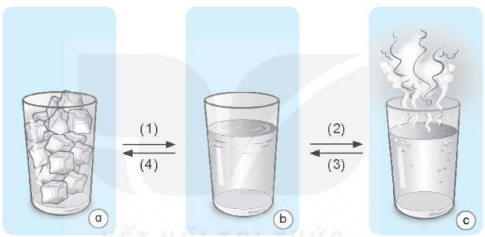 Quan sát nội dung trong hình và sử dụng các từ/cụm từ: bay hơi, thể lỏng, đông đặc, thể khí, thể rắn để điền vào chỗ (...) trong bảng dưới cho phù hợp.