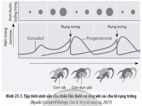 Đọc đoạn thông tin sau và trả lời câu hỏi.