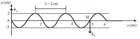 hình dạng của dây vào thời điểm 6,0 s kể từ khi A bắt đầu dao động.