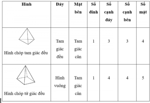 Bài tập 1 trang 46 sgk Toán 8 tập 1 CTST