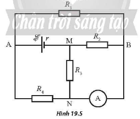 Hình 19.5