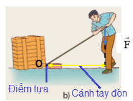 Xác định điểm tựa cánh tay đòn trong các trường hợp hình 19.2 Trang 80