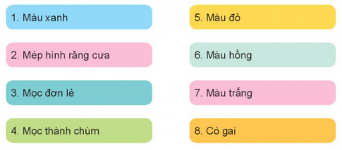 Giải siêu nhanh Công nghệ 4 kết nối Bài 1: Lợi ích của hoa, cây cảnh đối với đời sống