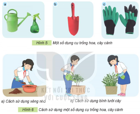 Giải siêu nhanh Công nghệ 4 kết nối Bài 3: Vật liệu và dụng cụ trồng hoa, cây cảnh trong chậu