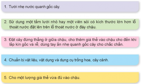 Giải siêu nhanh Công nghệ 4 kết nối Bài 5: Trồng hoa, cây cảnh trong chậu