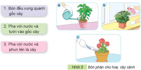 Giải siêu nhanh Công nghệ 4 kết nối Bài 6: Chăm sóc hoa, cây cảnh trong chậu