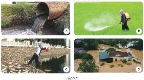 Giải siêu nhanh Khoa học 4 kết nối Bài 3: Sự ô nhiễm và bảo vệ nguồn nước. Một số cách làm sạch nước