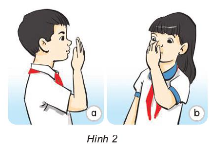 Giải siêu nhanh Khoa học 4 kết nối Bài 5: Vai trò của không khí và bảo vệ bầu không khí trong lành