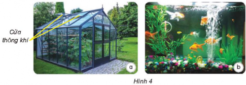 Giải siêu nhanh Khoa học 4 kết nối Bài 5: Vai trò của không khí và bảo vệ bầu không khí trong lành