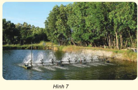 Giải siêu nhanh Khoa học 4 kết nối Bài 5: Vai trò của không khí và bảo vệ bầu không khí trong lành
