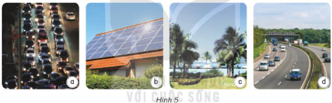 Giải siêu nhanh Khoa học 4 kết nối Bài 9: Vai trò của ánh sáng