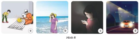Giải siêu nhanh Khoa học 4 kết nối Bài 9: Vai trò của ánh sáng
