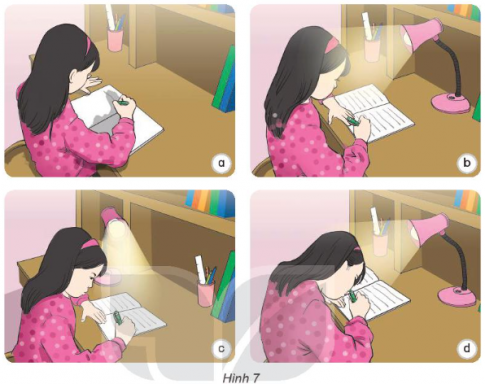 Giải siêu nhanh Khoa học 4 kết nối Bài 9: Vai trò của ánh sáng