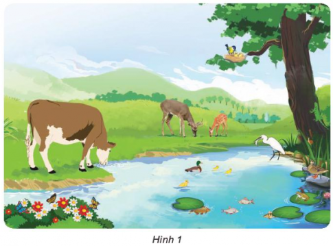 Giải siêu nhanh Khoa học 4 kết nối Bài 16: Động vật cần gì để sống