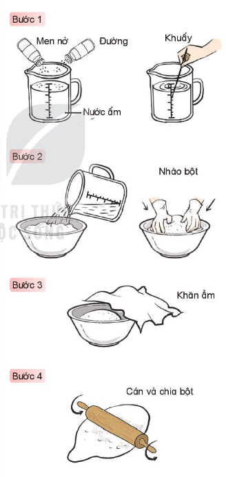 Giải siêu nhanh Khoa học 4 kết nối Bài 20: Nấm ăn và nấm chế biến thực phẩm