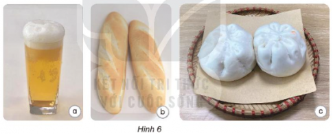 Giải siêu nhanh Khoa học 4 kết nối Bài 20: Nấm ăn và nấm chế biến thực phẩm