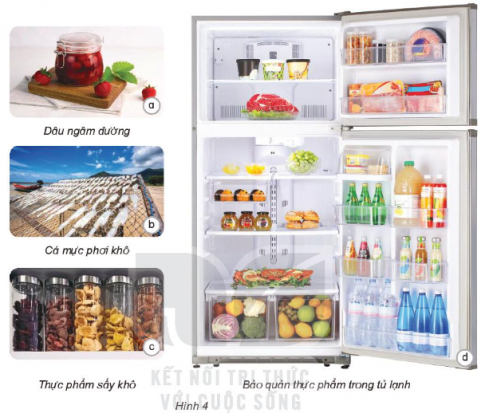 Giải siêu nhanh Khoa học 4 kết nối Bài 21: Nấm gây hỏng và thực phẩm nấm độc