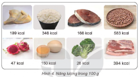 Giải siêu nhanh Khoa học 4 kết nối Bài 23: Vai trò của dinh dưỡng với cơ thể