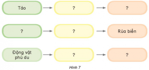Giải siêu nhanh Khoa học 4 kết nối Bài 29: Chuỗi thức ăn trong tự nhiên