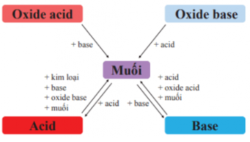 Thạch nhũ trong các hang động có thành phần chính là muối của calcium, nước biển chứa muối ăn và nhiều loại muối khác. Trong tự nhiên, các kim loại thường tồn tại dưới dạng muối. Muối là gì? Muối có thành phần tính chất và mối quan hệ với acid, base, oxide như thế nào?