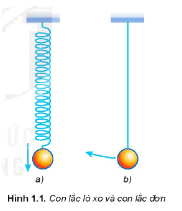 Treo một vật nhỏ nặng vào đầu tự do của một lò xo nhẹ, ta có con lắc lò xo (Hình 1.1a). Treo một vật nhỏ, nặng vào một dây nhẹ không dãn, ta được con lắc đơn (Hình 1.1b)